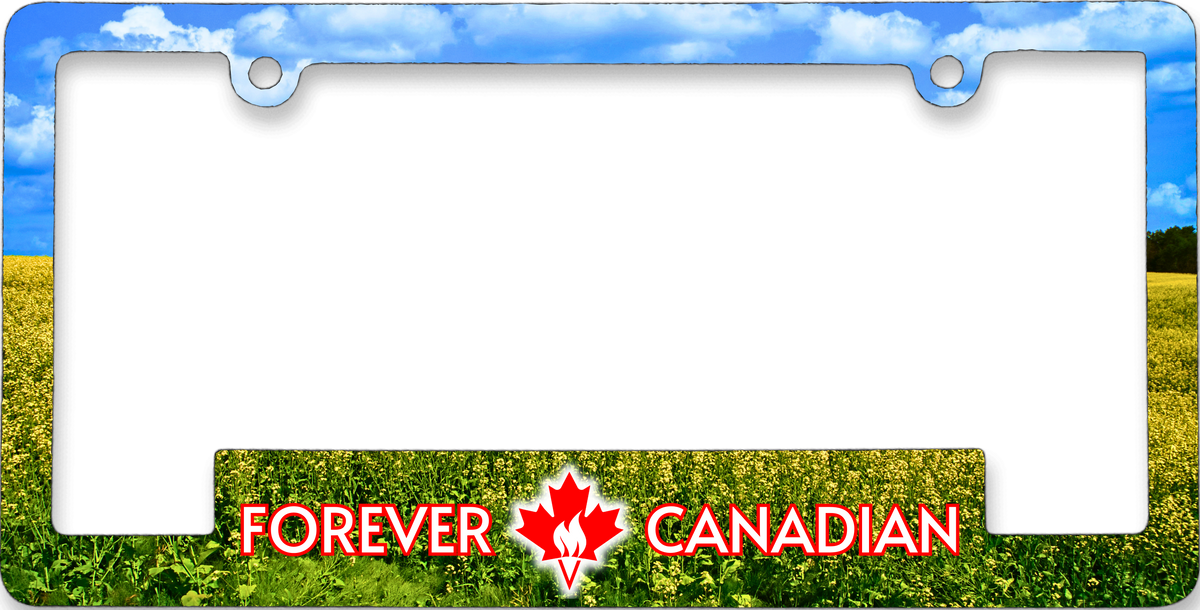 Canola Field & Prairie Sky licence plate frame with golden Alberta canola fields under a blue prairie sky, by Forever Canadian