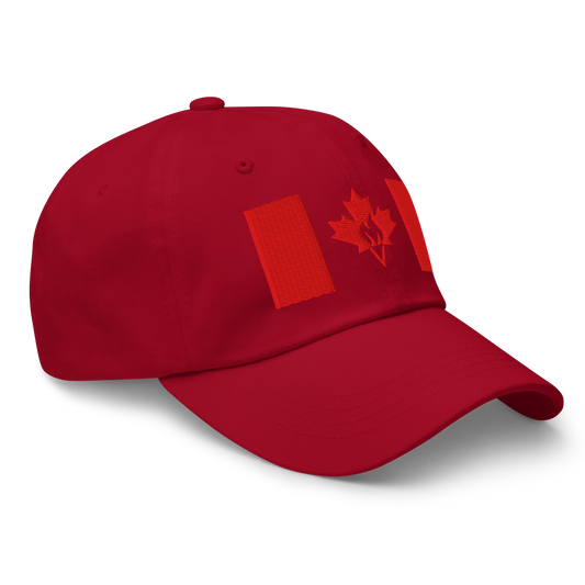 Flame Flag Dad Hat
