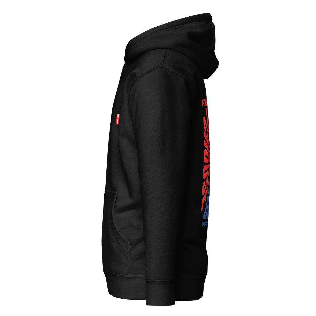 Calgary Concert for Unity Hoodie