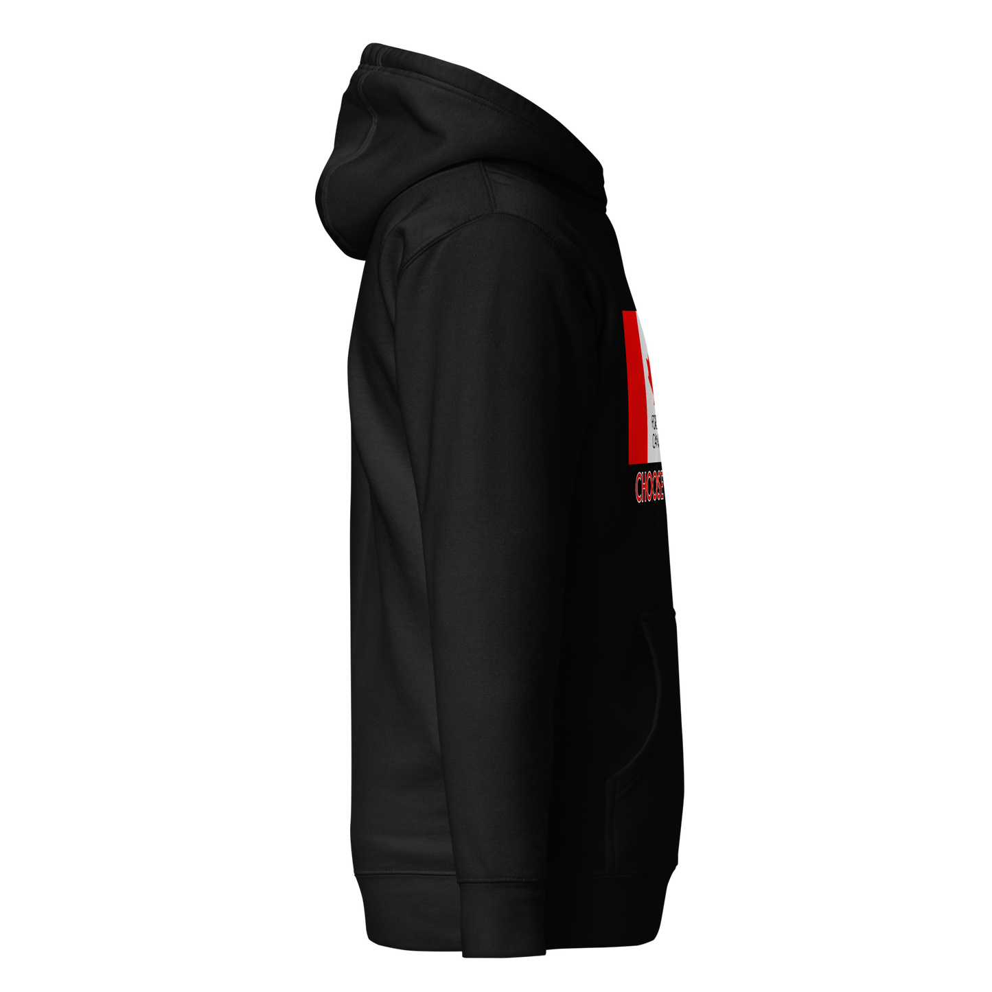 Choose Unity Flag Hoodie