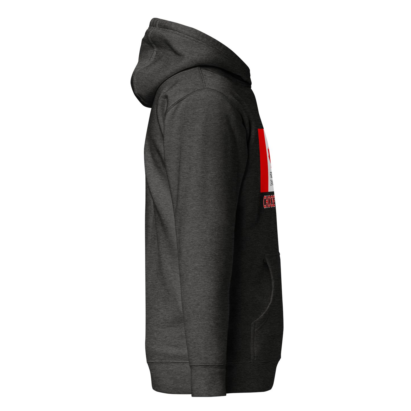 Choose Unity Flag Hoodie