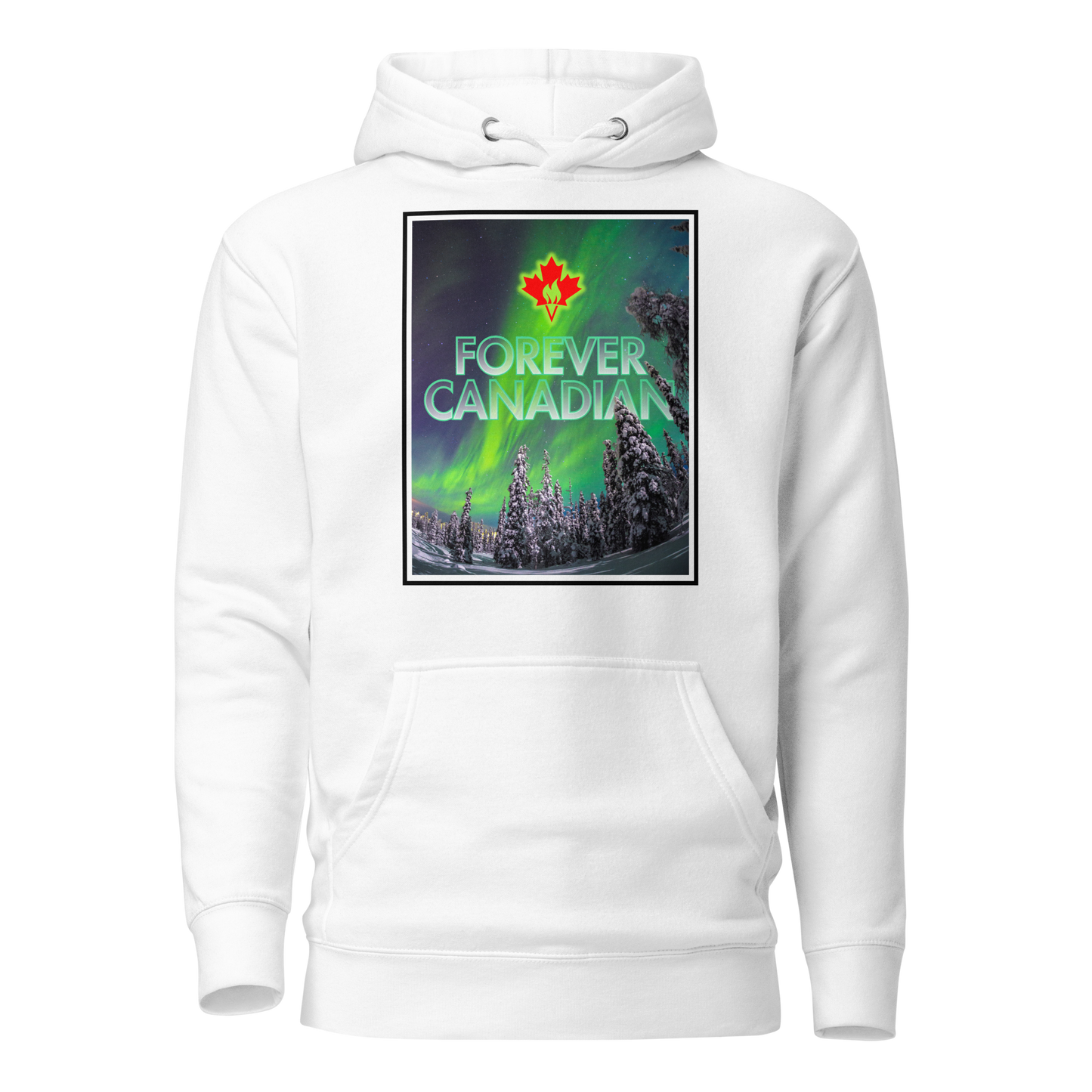 Aurora Borealis Hoodie