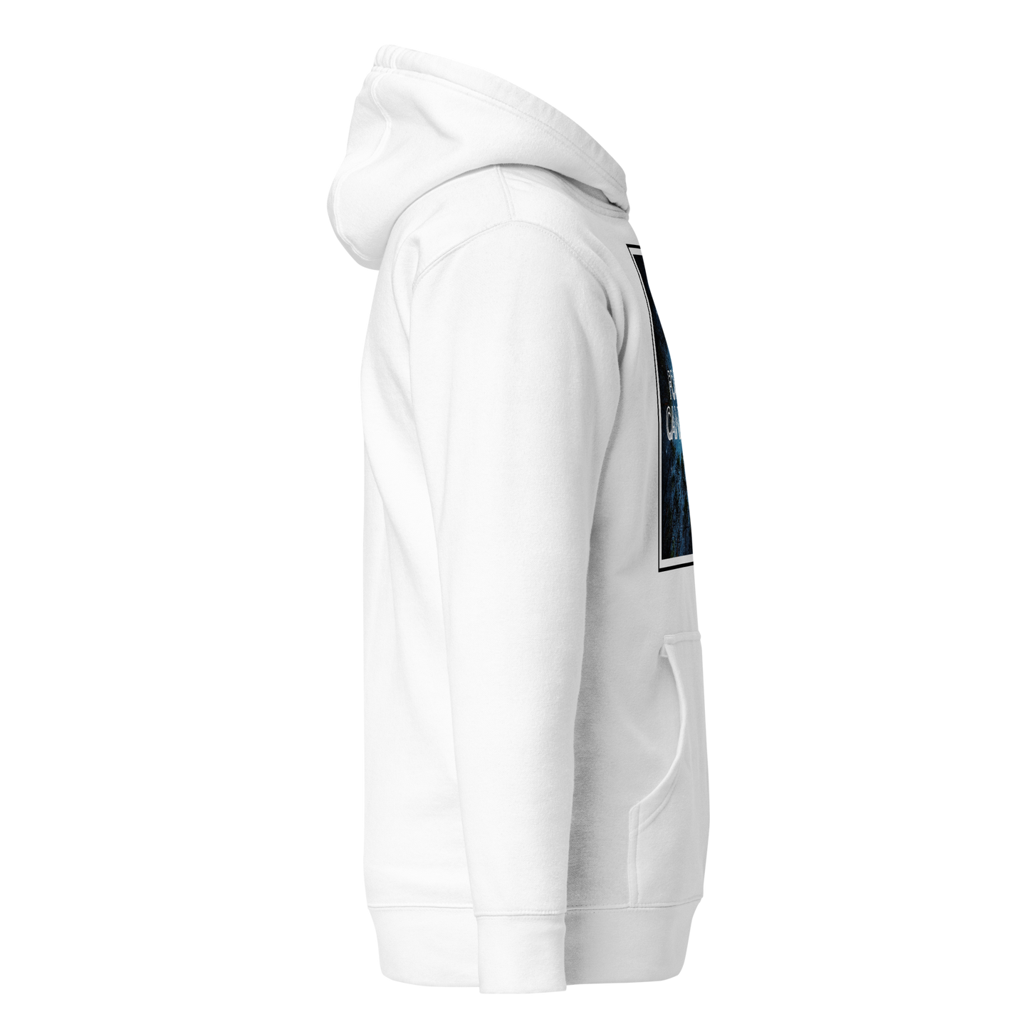 Dark Sky Preserve Hoodie