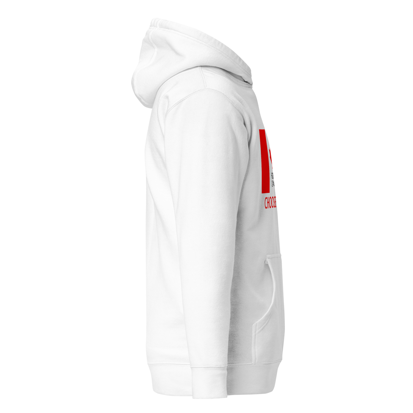 Choose Unity Flag Hoodie