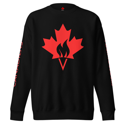 Chandail en Coton Ouaté Flamme