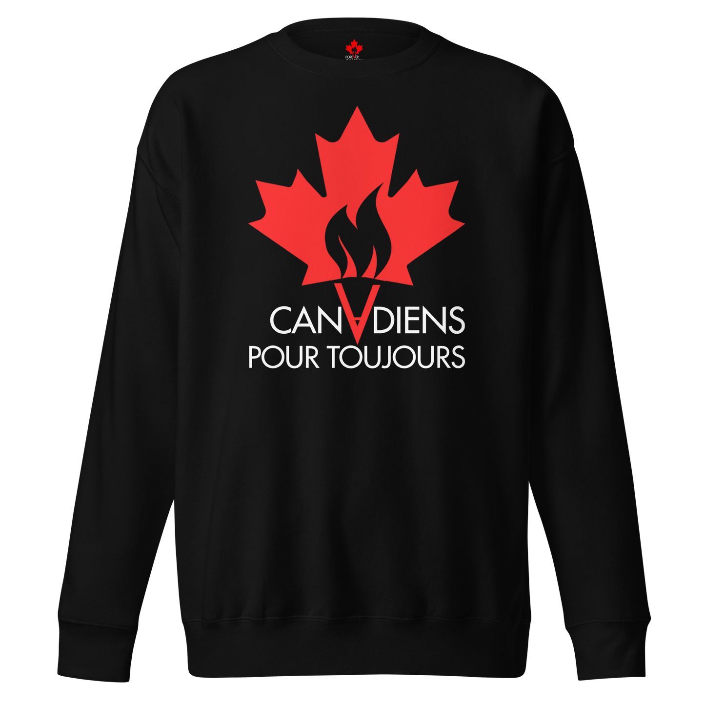 Chandail en Coton Ouaté Classique