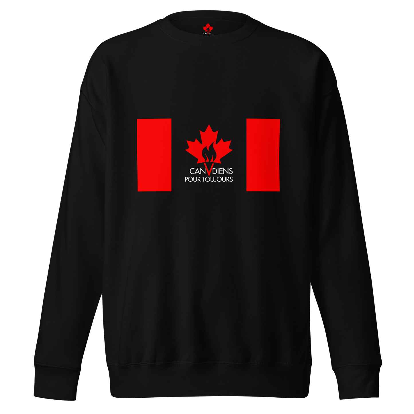 Chandail en Coton Ouaté Drapeau Classique