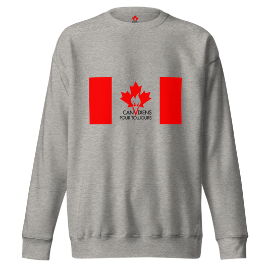 Chandail en Coton Ouaté Drapeau Classique