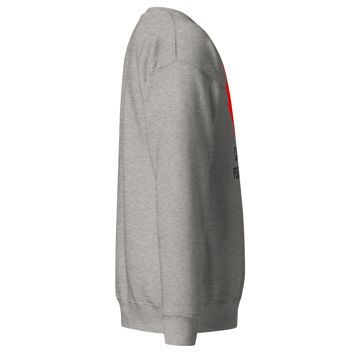 Chandail en Coton Ouaté Classique