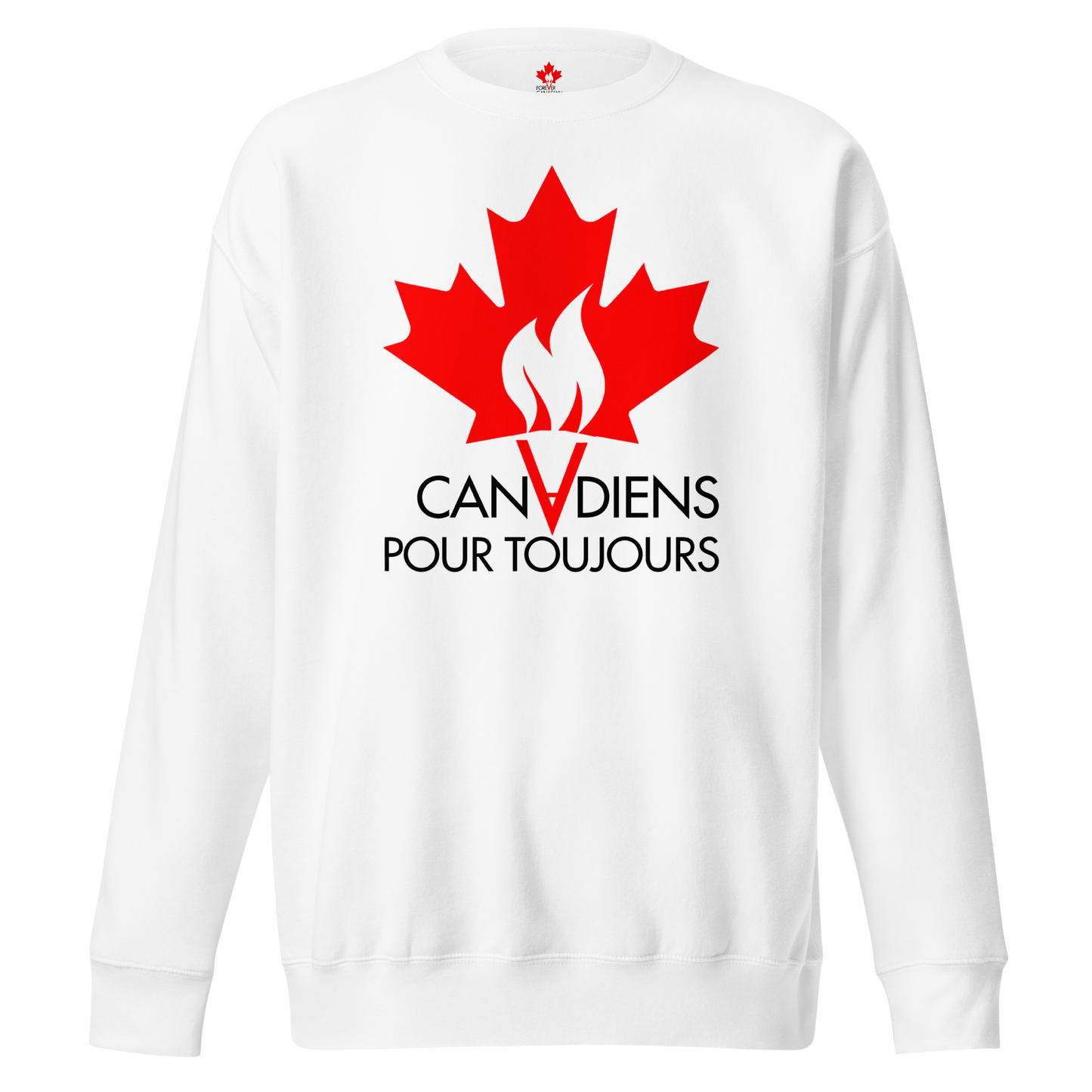 Chandail en Coton Ouaté Classique