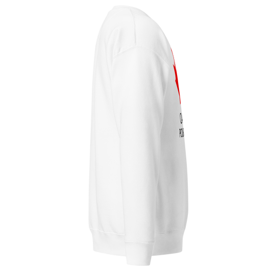 Chandail en Coton Ouaté Classique