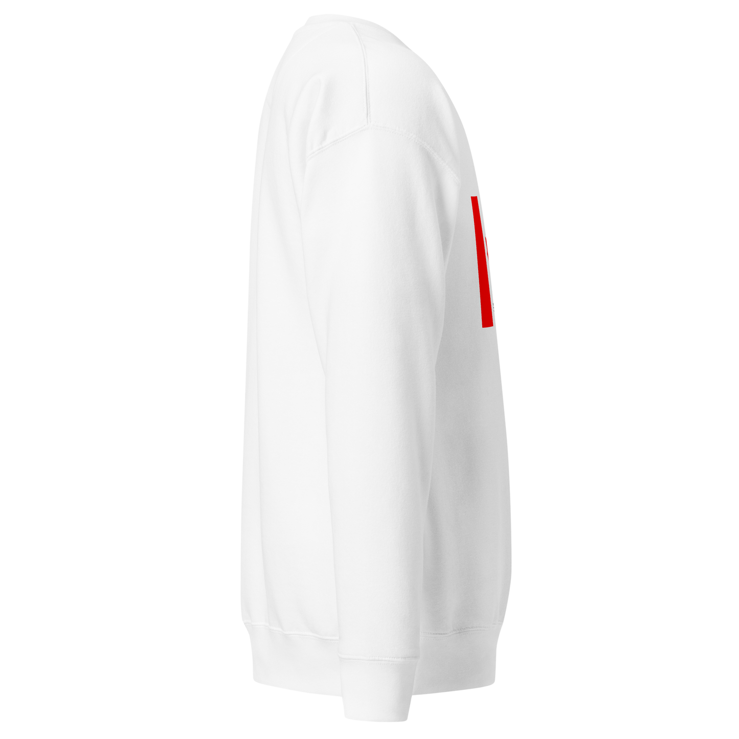 Chandail en Coton Ouaté Drapeau Classique
